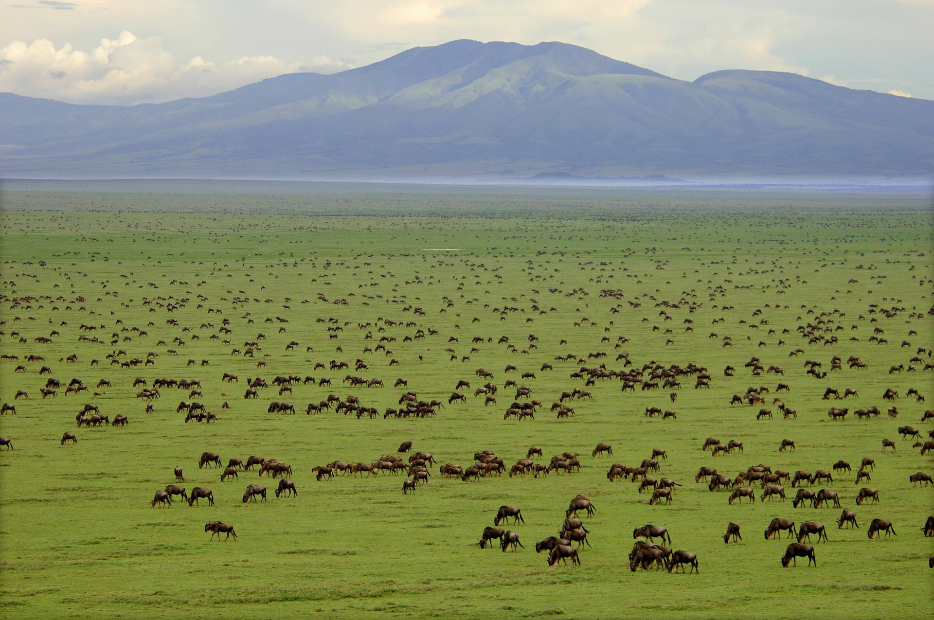 Tanzania — Serengeti, Ngorongoro and Kilimanjaro