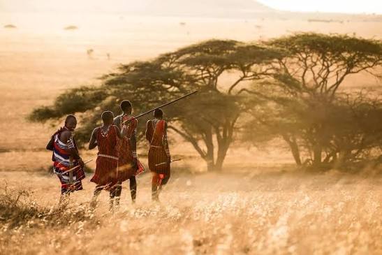 Masai Mara conservancies