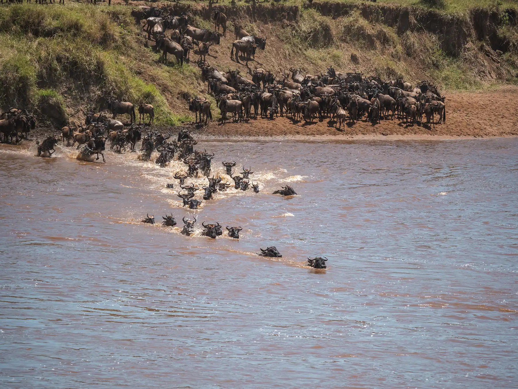 Great Migration