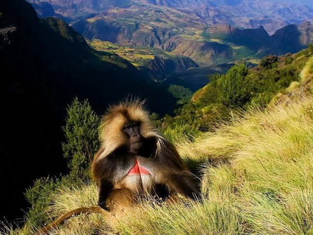 Simien Mountains