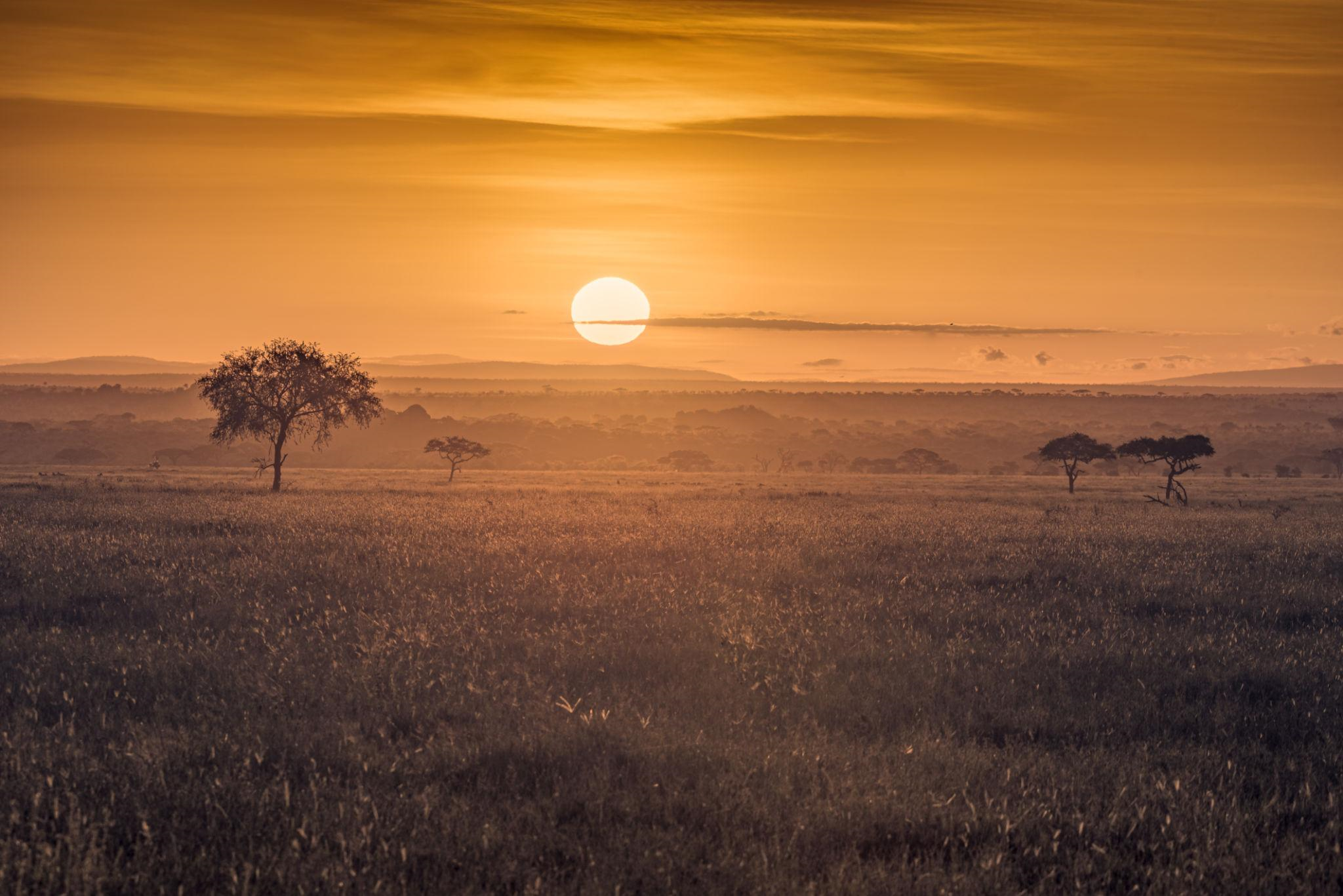 Serengeti Incentive: Plains & Balloons